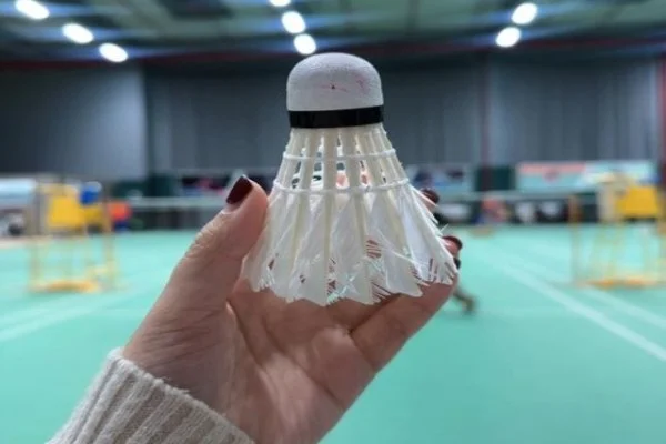 男排世锦赛中国对阵法国张景胤强攻火力与小组出线形势全面分析